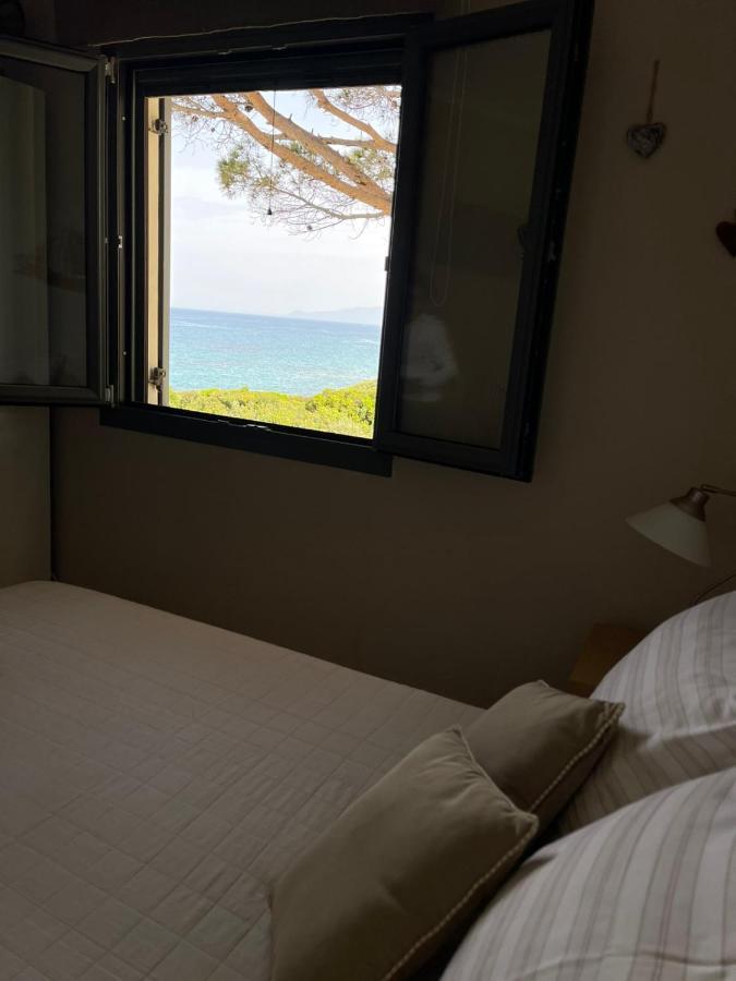 Tzanetos Pelagos Holiday home