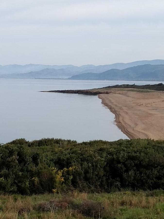 Tzanetos Pelagos Holiday home Kyparissia