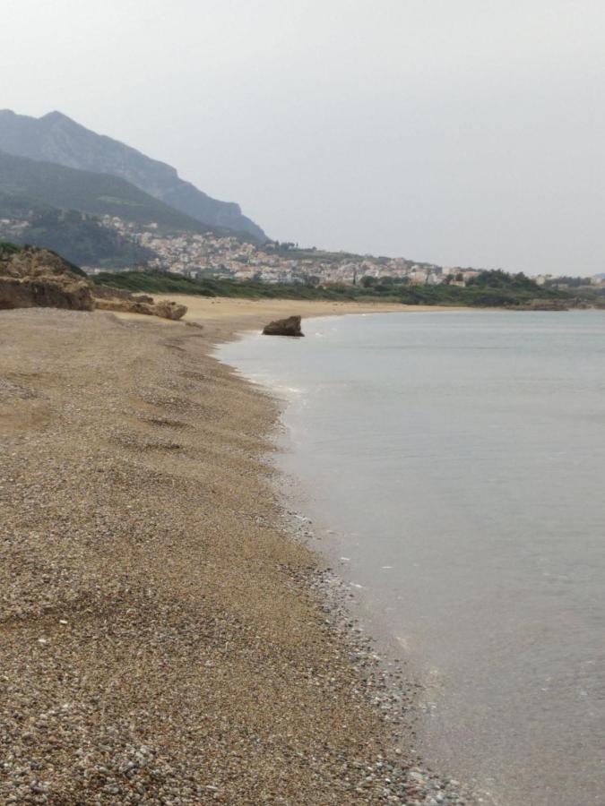 Tzanetos Pelagos * Kyparissia