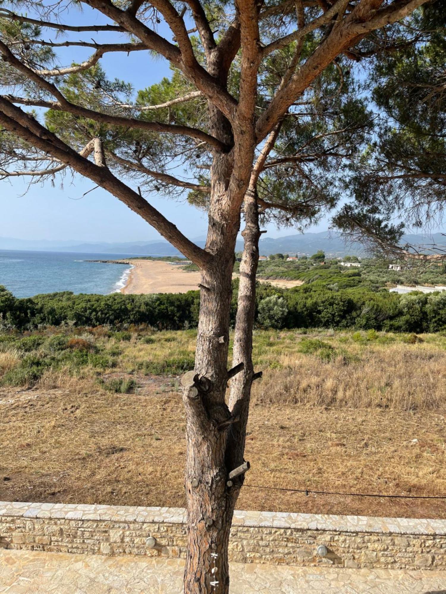 Tzanetos Pelagos Holiday home