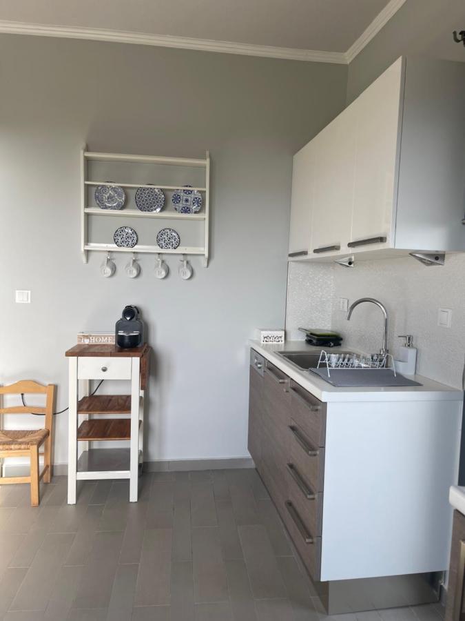 Tzanetos Pelagos Holiday home *